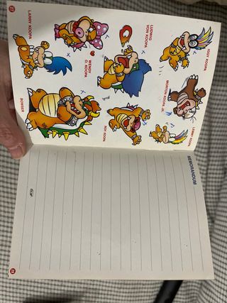 Super Mario World SNES PAL Manual y Cartucho