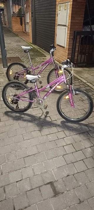 Bicicleta niña Trek morada MT60