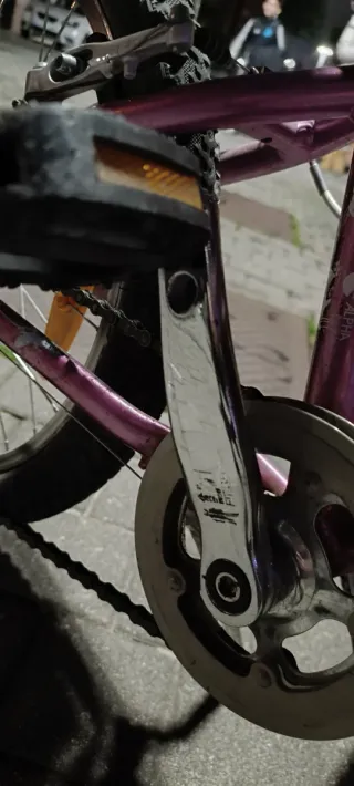 Bicicleta niña Trek morada MT60