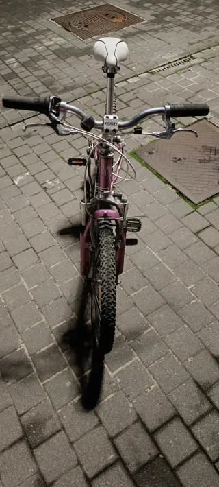 Bicicleta niña Trek morada MT60