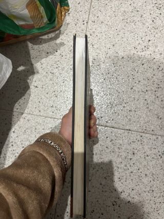 El diario de Anne Frank (novela gráfica)