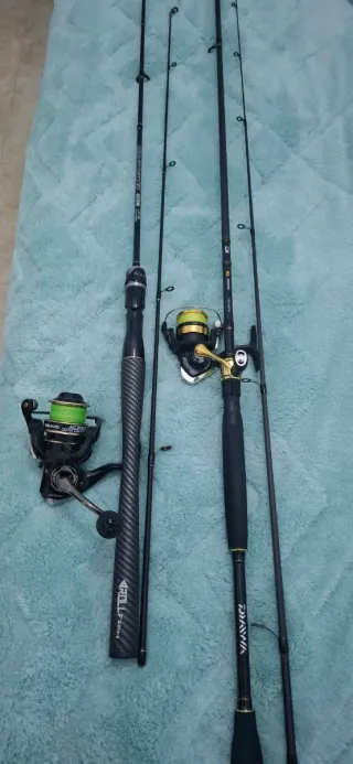 Caña daiwa rs