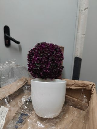 Maceta Decorativa Planta Artificial Moderna