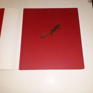 Libro Francis Vicenç - Museo Arte Contemporáneo