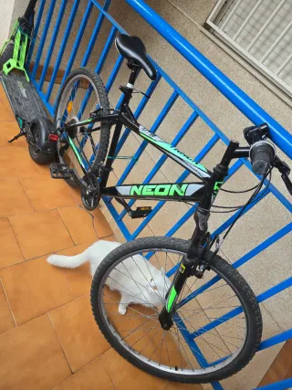 Bicicleta y patinete eléctrico NEON