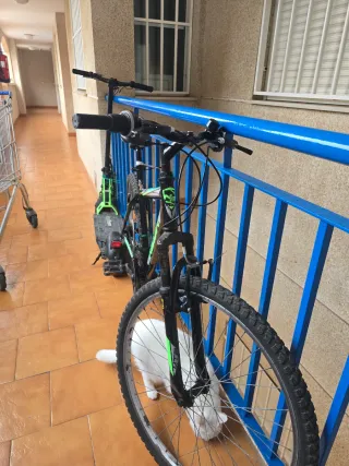 Bicicleta y patinete eléctrico NEON