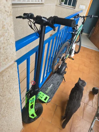 Bicicleta y patinete eléctrico NEON