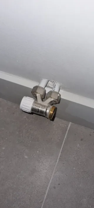 Manitas de confianza