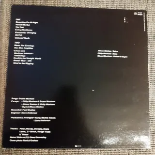 LP Young Marble Giants Colossal Youth 1980