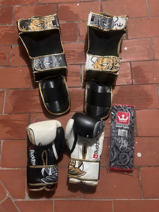 Guantes y espinilleras Buddha esta nuevos poco uso