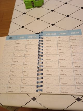 Diario de Greg - Agenda escolar de Greg: La agenda que no caduca