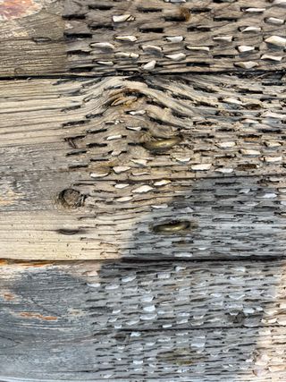 Trillo para máquina de coser.  Mesa