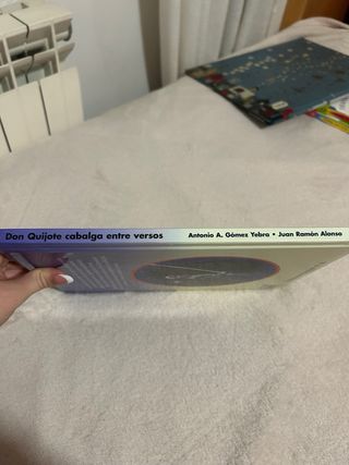 Don Quijote cabalga entre versos (Spanish Edition)