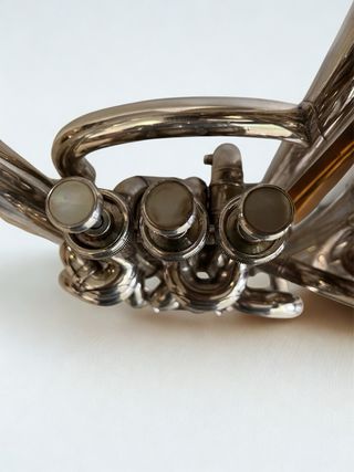 Bombardino Yamaha YEP 642 con funda