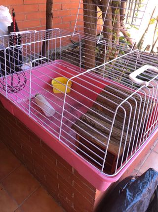 Jaula para hámster