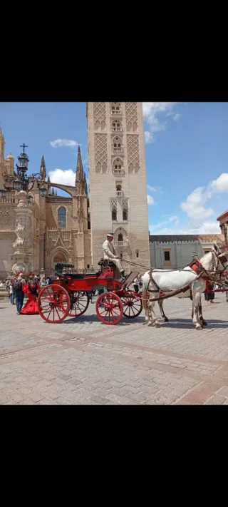 Alquiler coche de caballos feria Sevilla