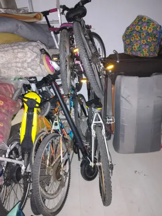 Lote de 6 bicicletas