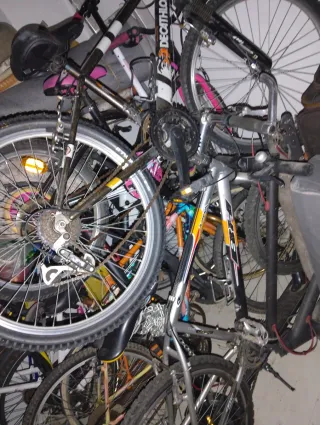 Lote de 6 bicicletas