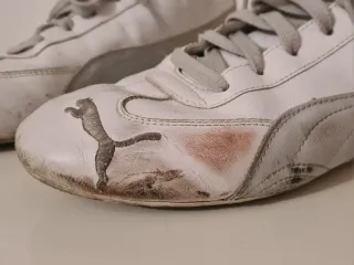 Zapatillas Puma Speedcat