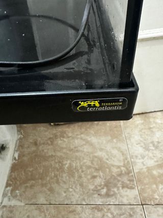 Pecera para tortugas