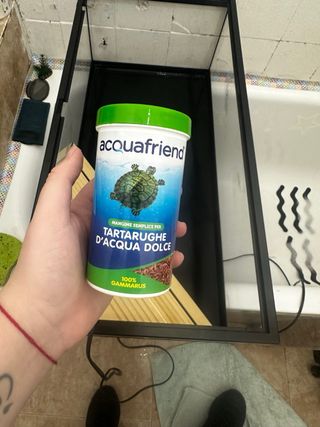 Pecera para tortugas