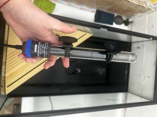 Pecera para tortugas