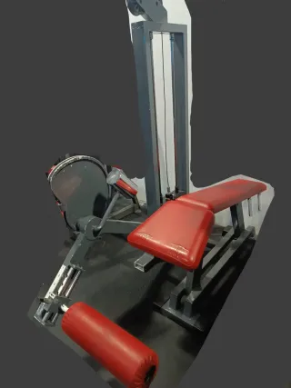 Máquina de Gimnasio Femoral profesional
