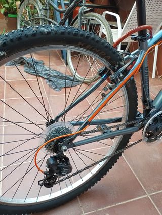 Bicicleta