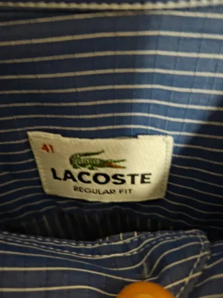 Camicia Lacoste uomo a righe blu