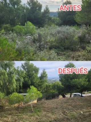 Jardinero profesional