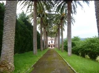 Jardinero profesional