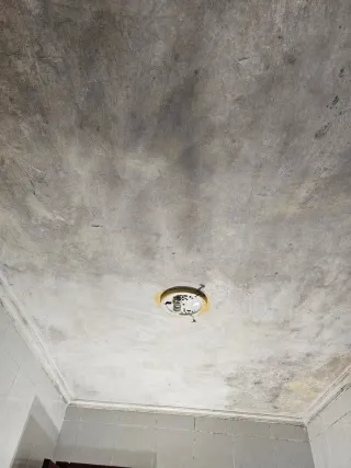 Pintor Oviedo, profesionalismo y calidad