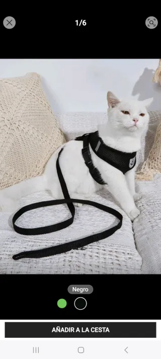 Arnés y Correa para Perro Pequeño