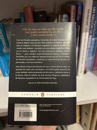 Novelas ejemplares / Exemplary Novels (Spanish ...