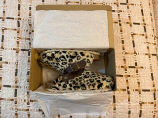 Zuecos/Zapatillas Animal Print Sommers
