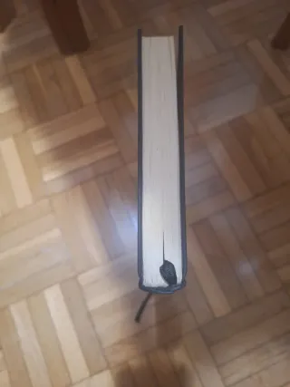 Erec y Enide (Spanish Edition)