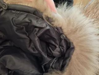 Tizzas plumífero gris/marrón oscuro con capucha