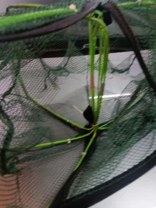 Red de pesca plegable varios orificios