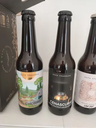 Confezione da 6 bottiglie vuote di birra Raíz Cuadrada
