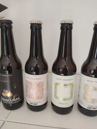 Confezione da 6 bottiglie vuote di birra Raíz Cuadrada