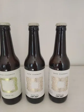Confezione da 6 bottiglie vuote di birra Raíz Cuadrada