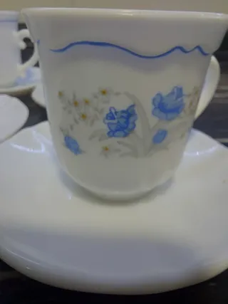 Juego de café Arcopal retro floral