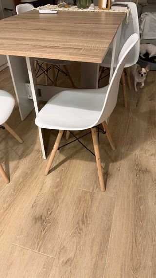 Mesa plegable y 4 sillas