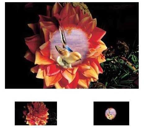 (Nuovo) P342 doppia maschera Cokin