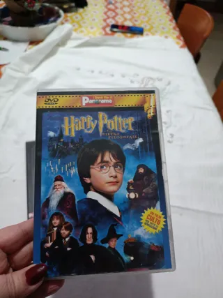 DVD Sleepers, Harry Potter, Le Ali della Libertà