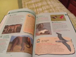 El aula en casa. Los seres vivos: Animales (Tom...