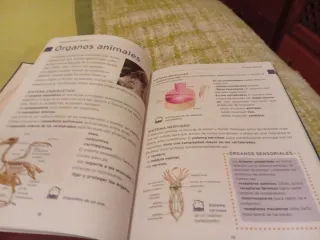 El aula en casa. Los seres vivos: Animales (Tom...