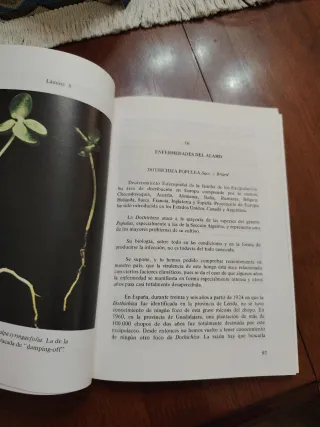 Patología forestal