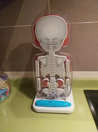 El cuerpo humano interactivo