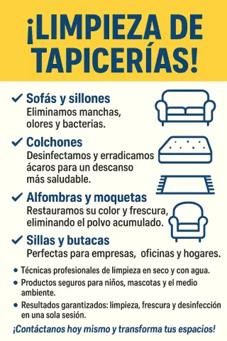 Limpieza de tapicería en general